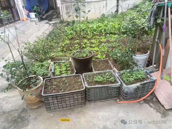 旺”指哪5人？上坟添土有啥讲究？龙8游戏进入“五人不添土子孙代代(图2)