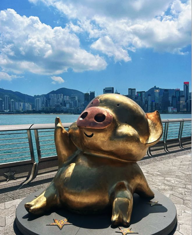 怎么玩？必去景点路线最新攻略带你玩转！龙8中国唯一入口2025年去港澳4日游(图3)